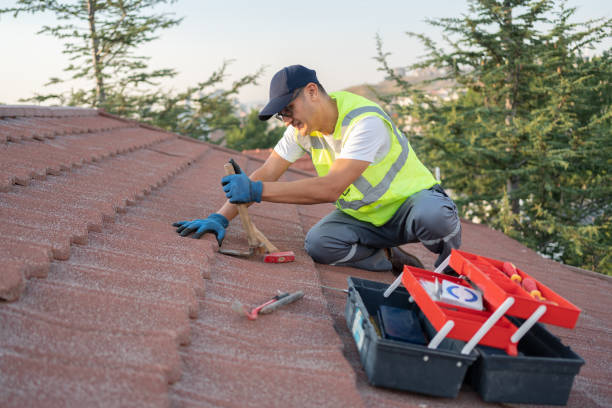 Best Roof Leak Repair  in Cayuga, IN