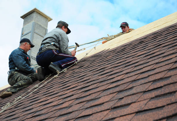 Best Emergency Roof Repair  in Cayuga, IN